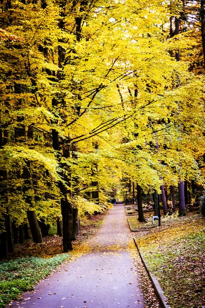 Pathway through the cemetery on autumn — Stock Photo, Image