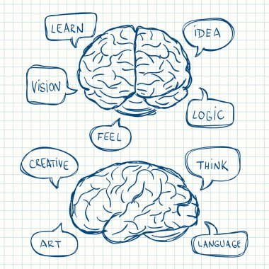 Sence kabarcıklar ile beyin