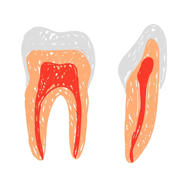 Tanden doodle — Stockvector