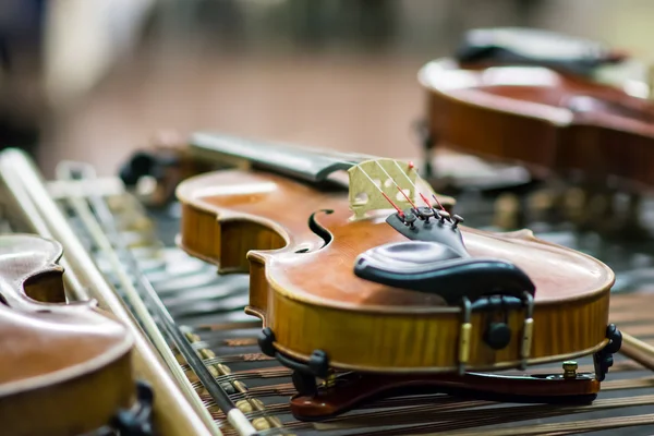 Detail of violins — Stock Photo, Image