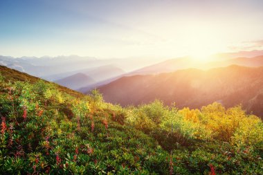 Kış yol. Gizemli kış manzarası