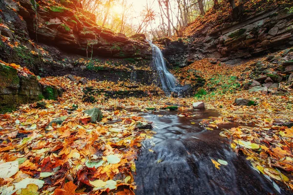 Cachoeira na luz solar do outono. Cárpatos. Ucrânia, Europa — Fotografia de Stock