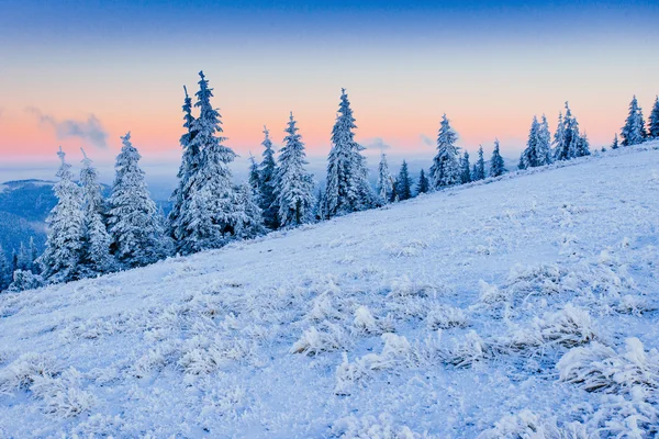 Paesaggio invernale illuminato dalla luce del sole. Drammatica scena invernale . — Foto Stock