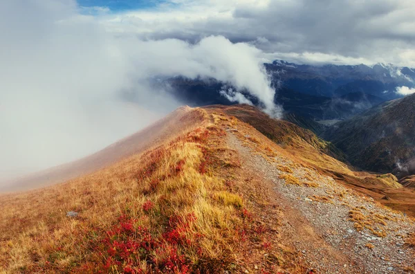 Kalın sis Dağı geçidinde Goulet. Georgia, Svaneti. Europe.