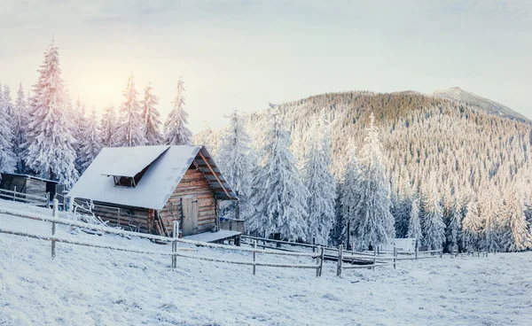 Winterlandschap gloeiende door zonlicht. Dramatische winterse scène. — Stockfoto