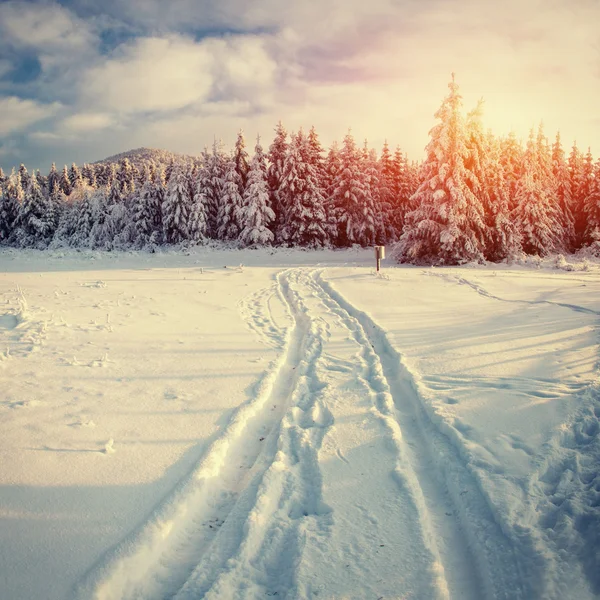 Paesaggio invernale illuminato dalla luce del sole. Drammatica scena invernale . — Foto Stock