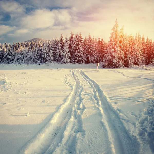 Paysage hivernal rayonnant par la lumière du soleil. Scène hivernale dramatique . — Photo