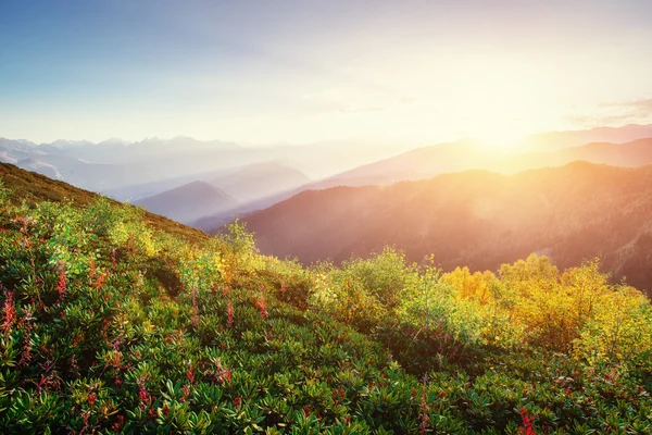 Kış yol. Gizemli kış manzarası