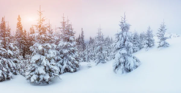 Winterstraße. Geheimnisvolle Winterlandschaft — Stockfoto