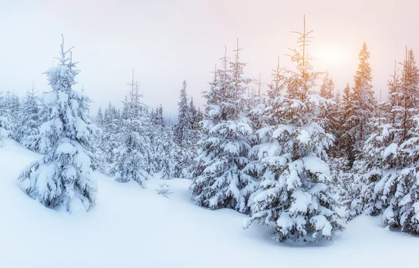 Winterstraße. Geheimnisvolle Winterlandschaft — Stockfoto