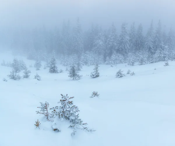 Estrada de Inverno. Paisagem de inverno misteriosa — Fotografia de Stock