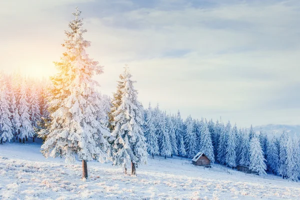 Hut in de bergen in de winter — Stockfoto