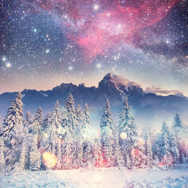 Mleczne Star Trek w zimowym lesie. Karpaty, Ukraina — Zdjęcie stockowe