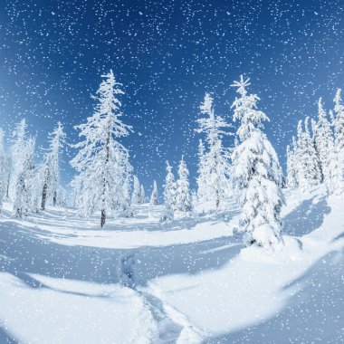 Fantastik kış manzarası ve içine kurşun trodden trails