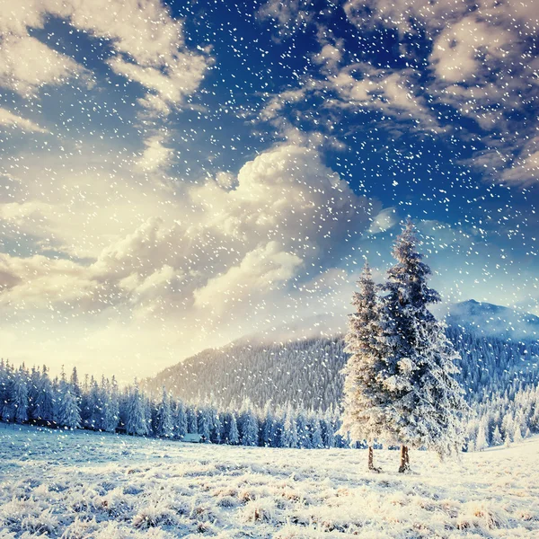 Magical winter landscape — Stock Photo, Image