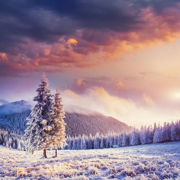 Fabulosa paisagem de inverno nas montanhas — Fotografia de Stock