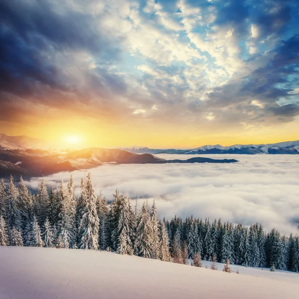 Nevoeiro nas montanhas de inverno. Fantástico pôr-do-sol. Cárpatos. Ucrânia . — Fotografia de Stock