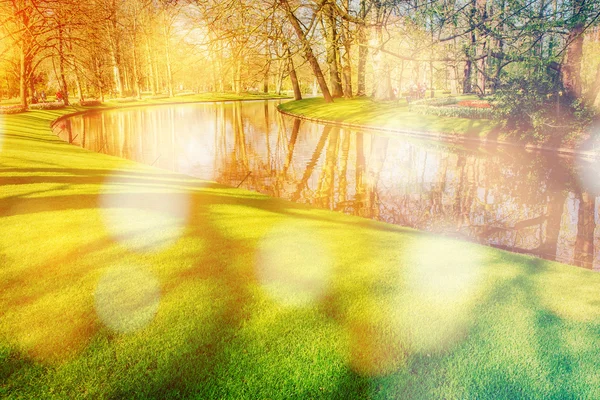 公園の川。春の風景. — ストック写真