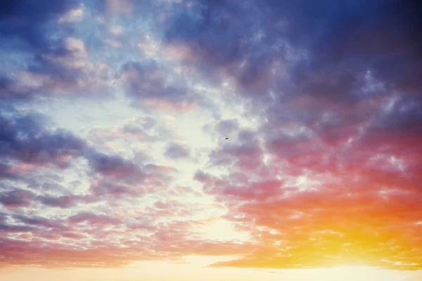 Cumulus clouds at sunset — Stock Photo, Image