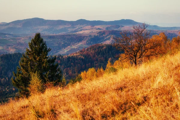 Pasmo górskie w Karpatach w sezonie jesiennym. — Zdjęcie stockowe