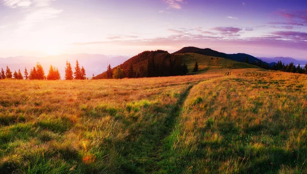Fantástico pôr do sol nas montanhas da Ucrânia . — Fotografia de Stock