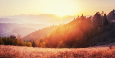 Sonbahar sezonu Karpat dağlarında dağ silsilesi.