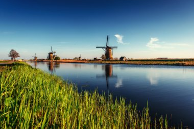 Renkli bahar günü ile geleneksel Hollanda yel değirmenleri kanal