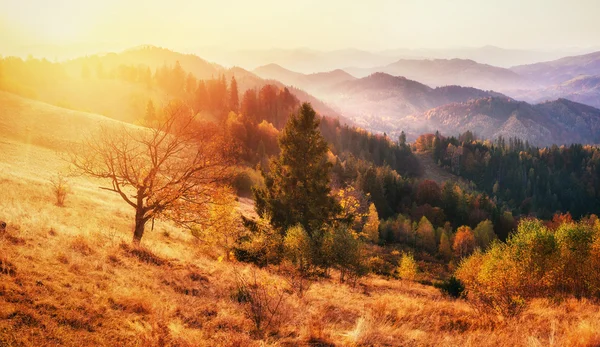 Bergketen in de Karpaten in het herfst seizoen. — Stockfoto