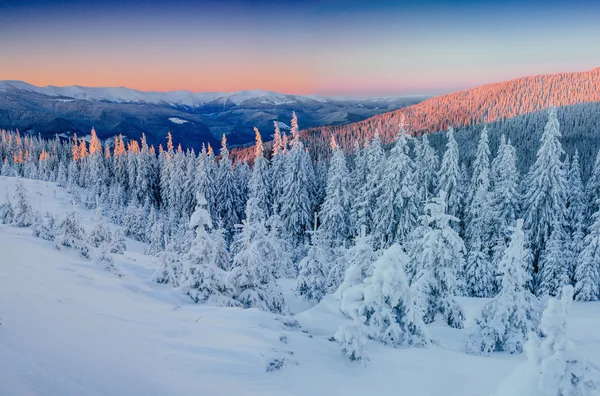 Fantástica paisagem de inverno nas montanhas . — Fotografia de Stock