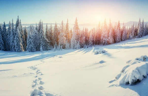 Fantastyczna zima krajobraz, kroki — Zdjęcie stockowe