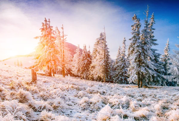 Fantástica paisagem de inverno nas montanhas . — Fotografia de Stock
