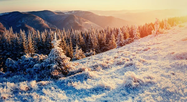 Paysage hivernal fantastique dans les montagnes . — Photo