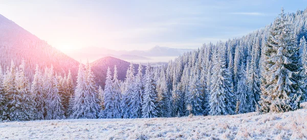 Fantástica paisagem de inverno nas montanhas . — Fotografia de Stock