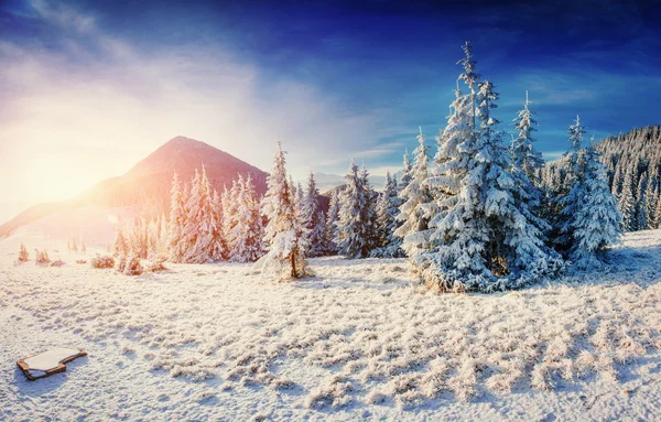 Traumhafte Winterlandschaft in den Bergen. — Stockfoto