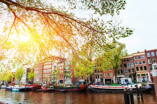 Amsterdam canal při západu slunce. — Stock fotografie