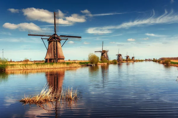 Moinhos de vento holandeses tradicionais do canal Rotterdam. Países Baixos . — Fotografia de Stock