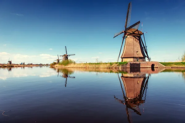 Colorful spring day with traditional Dutch windmills canal — Stock Photo, Image