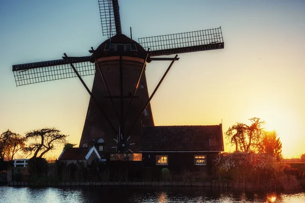 Traditionele Nederlandse windmolens van het kanaal Rotterdam. Holland. — Stockfoto