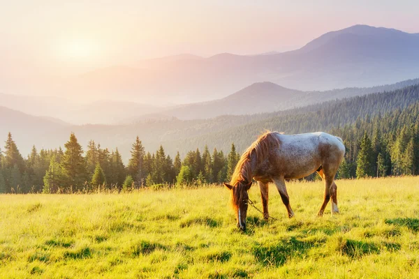 Jízda v horách při západu slunce — Stock fotografie