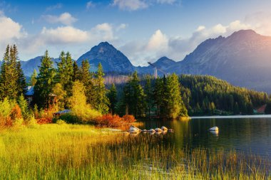 Görkemli dağ gölü Milli Parkı yüksek Tatra içinde. Strbske pleso