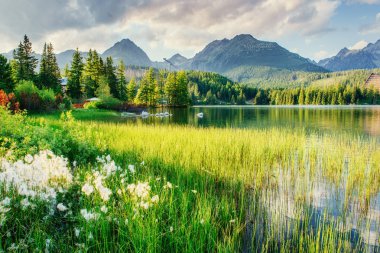 Görkemli dağ gölü Milli Parkı yüksek Tatra içinde. Strbske pleso