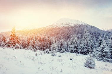 Sis ile Gizemli Kış manzara