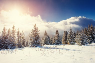 Sis ile Gizemli Kış manzara