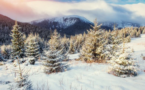 Paisagem de inverno misteriosa montanhas majestosas no inverno . — Fotografia de Stock