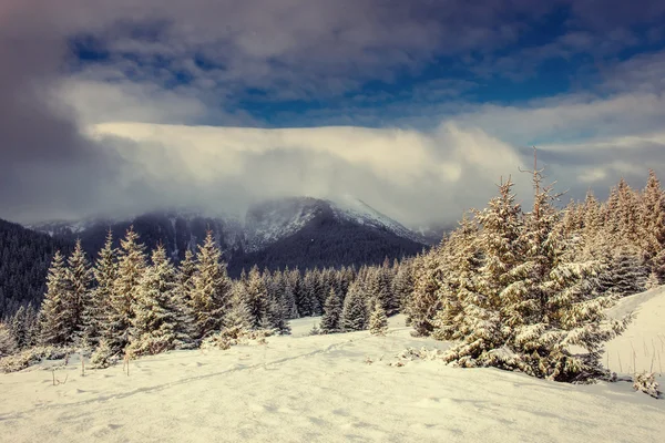 Paisagem de inverno misteriosa montanhas majestosas no inverno . — Fotografia de Stock