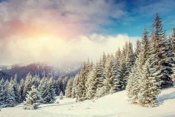 Sis ile Gizemli Kış manzara