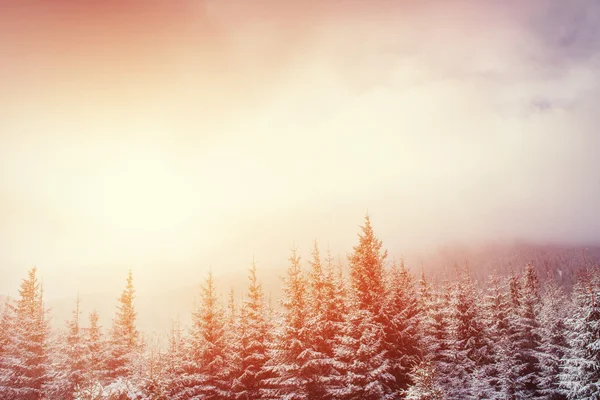 Geheimnisvolle Winterlandschaft majestätische Berge im Winter. — Stockfoto