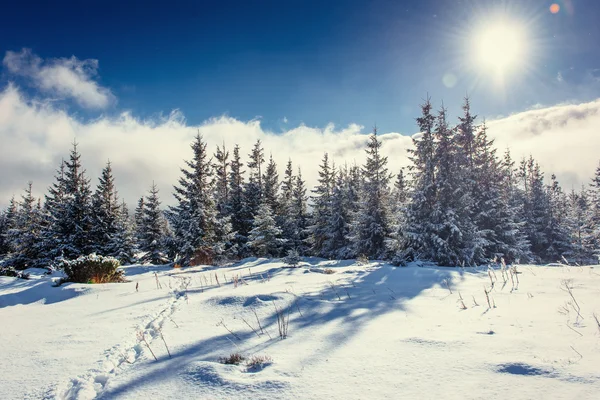 Fantástico paisaje de invierno — Foto de Stock