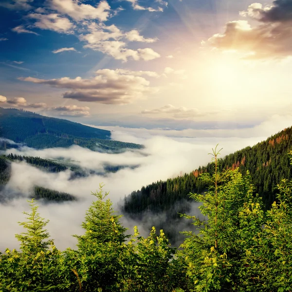 Fantastic foggy day and bright hills by sunlight. — Stock Photo, Image