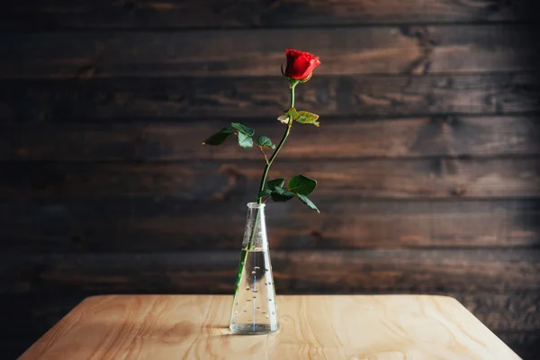 Rose rouge dans un vase sur une table en bois — Photo